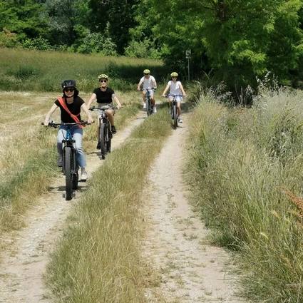 E-Bike Tour al Lago di Garda con degustazione di vini in cantina 10
