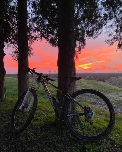 E-Bike Tour al Lago di Garda con degustazione di vini in cantina 2