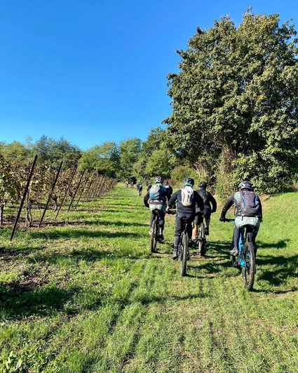 E-Bike Tour al Lago di Garda con degustazione di vini in cantina 3