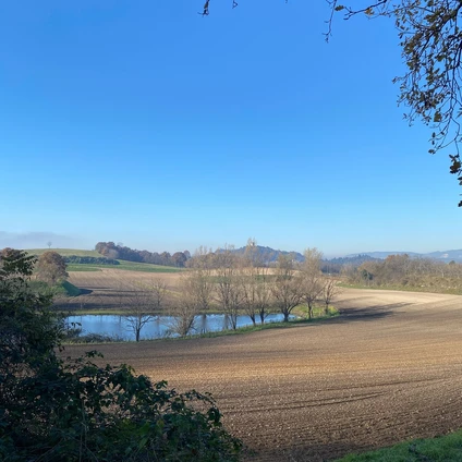E-Bike Tour al Lago di Garda con degustazione di vini in cantina 4