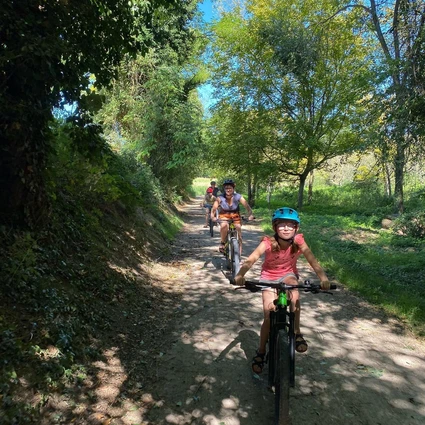 E-Bike Tour al Lago di Garda con degustazione di vini in cantina 11