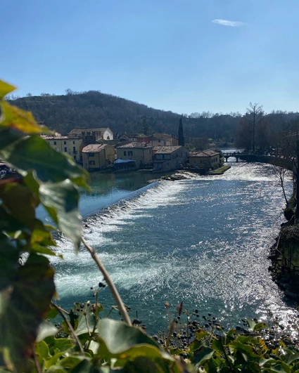 E-Bike Tour al Lago di Garda con degustazione di vini in cantina 5