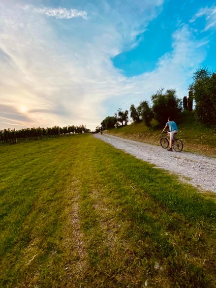E-Bike Tour al Lago di Garda con degustazione di vini in cantina 7