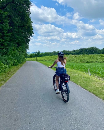 E-Bike Tour al Lago di Garda con degustazione di vini in cantina 8