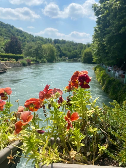 E-Bike Tour al Lago di Garda con degustazione di vini in cantina 9