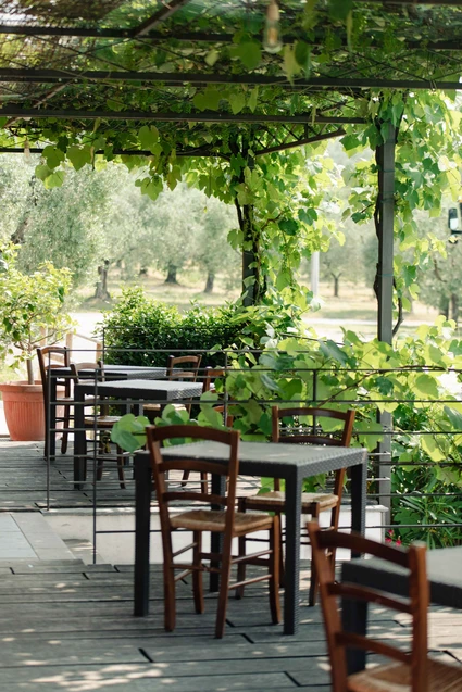 Degustazione olio d'oliva e vini biologici al Lago di Garda 1