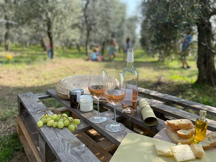 Picnic on Lake Garda among olive trees and local organic products 10