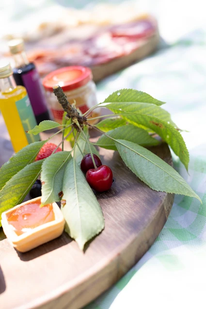 Picnic sul Lago di Garda tra ulivi e vigneti