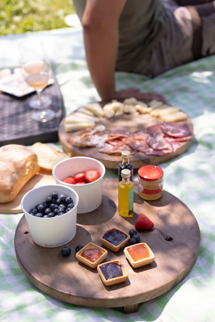 Picnic sul Lago di Garda tra ulivi e vigneti 0 Picnic sul Lago di Garda tra ulivi e vigneti 0