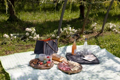 Picnic sul Lago di Garda tra ulivi e vigneti 1 Picnic sul Lago di Garda tra ulivi e vigneti 1