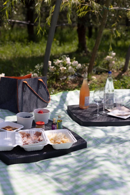 Picnic sul Lago di Garda tra ulivi e vigneti 7 Picnic sul Lago di Garda tra ulivi e vigneti 7