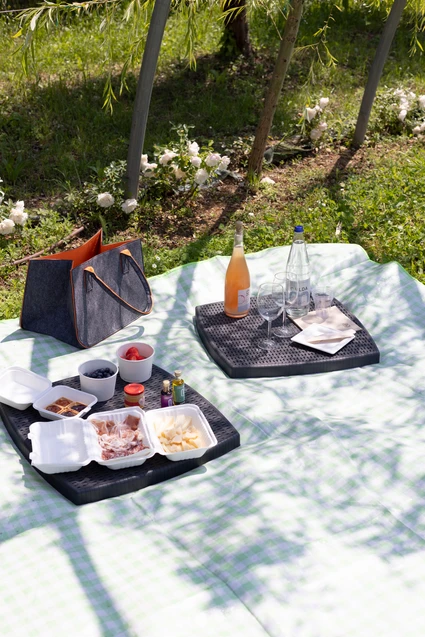 Picnic sul Lago di Garda tra ulivi e vigneti 18 Picnic sul Lago di Garda tra ulivi e vigneti 18