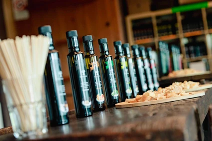 Degustazione olio d'oliva e vini biologici al Lago di Garda 8