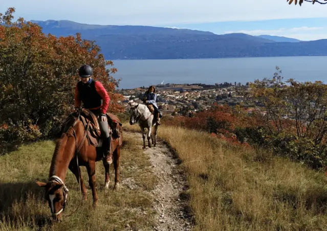 Passeggiata a cavallo e degustazione al Lago di Garda
