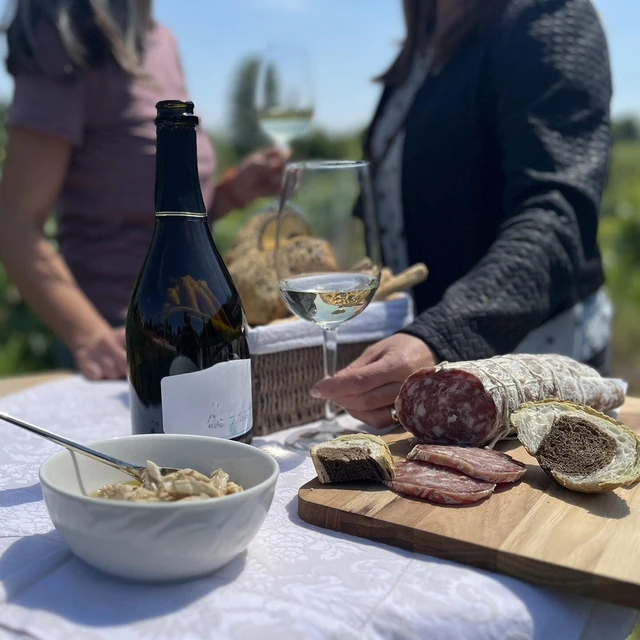 Visita della cantina e degustazione di vini nell'entroterra del Garda