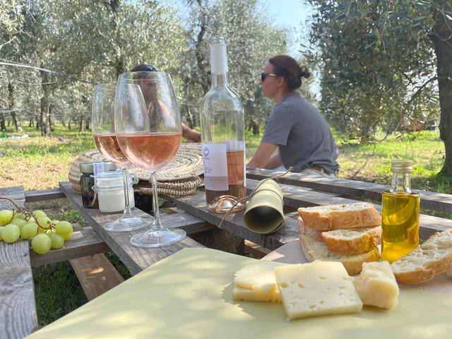 Picknick am Gardasee zwischen Olivenbäumen und Weinbergen