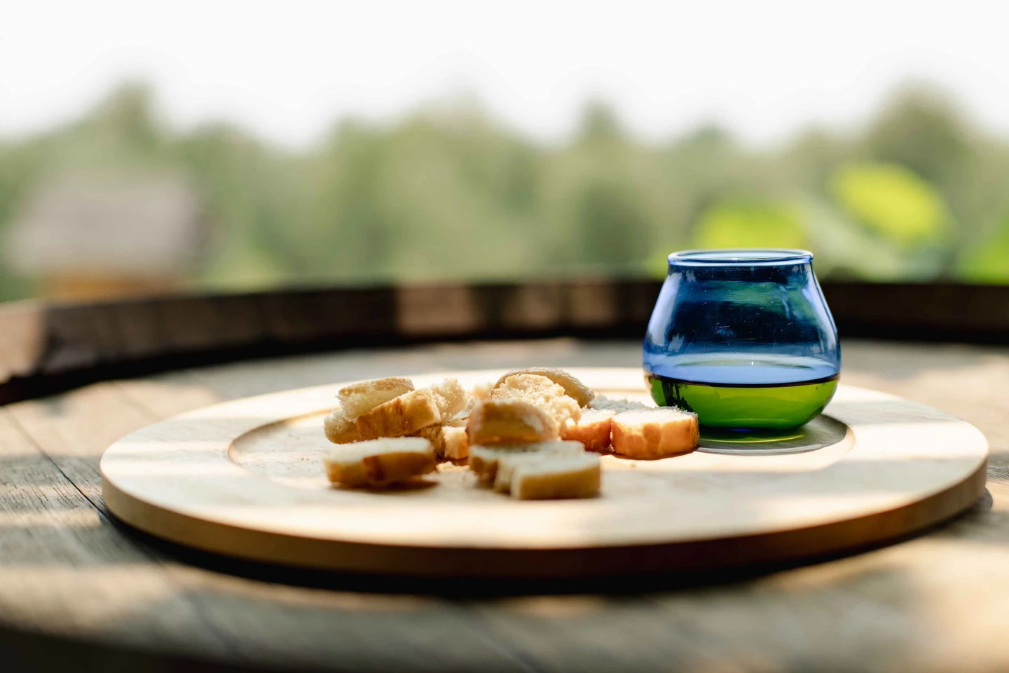 Tasting of extra virgin olive oils and organic wines at Lake Garda
